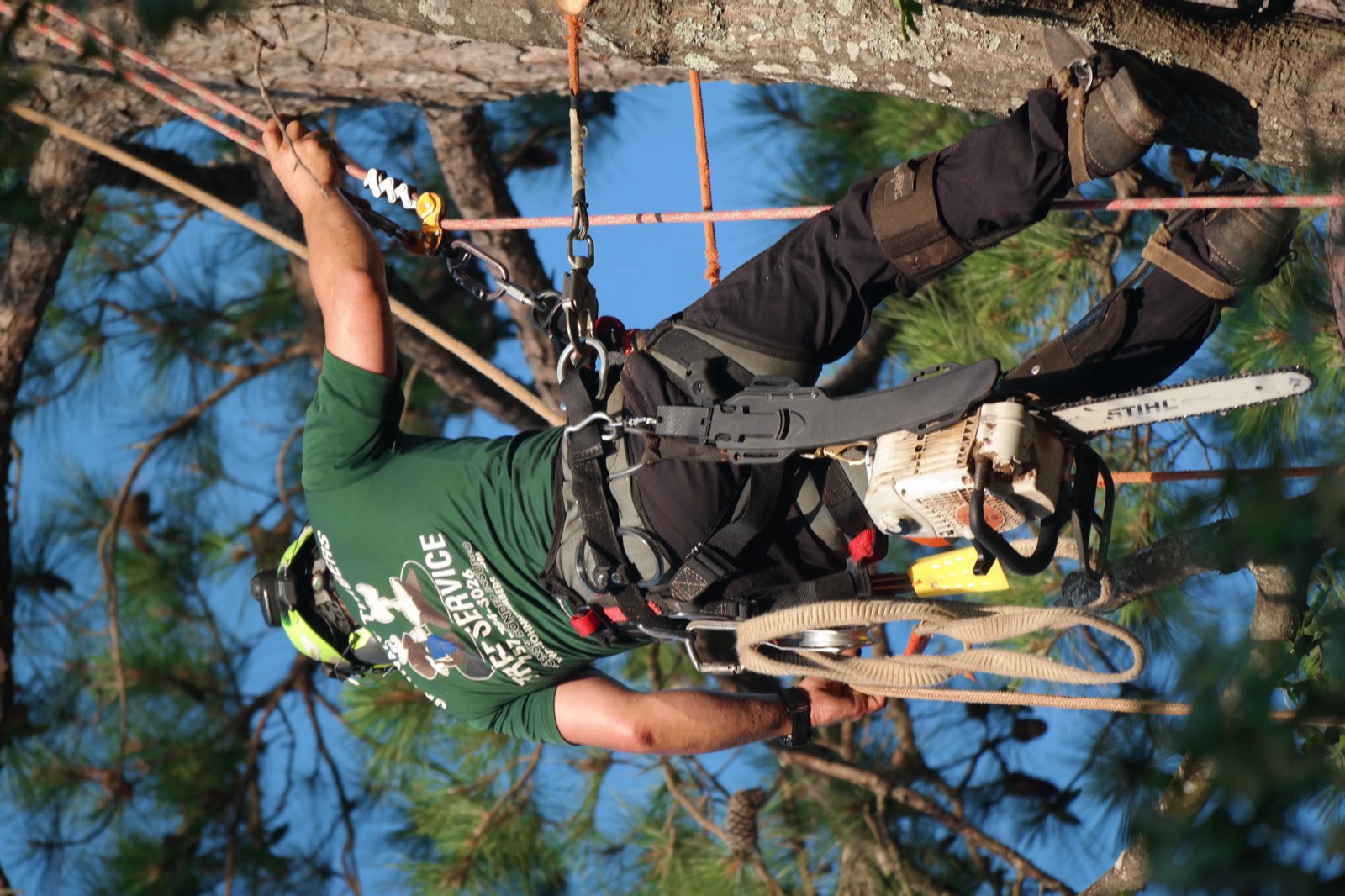 ISA Certified Arborist in Johnny Timbers gear suspended from crane ball with chainsaw Williamsburg VA