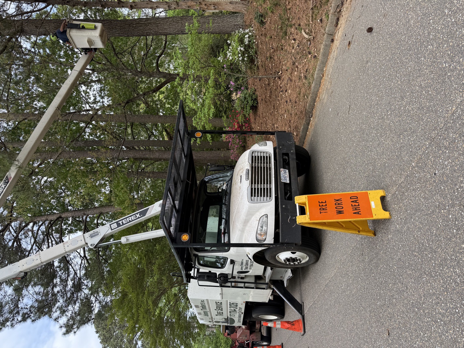 Johnny Timbers bucket truck with Tree Work Ahead sign set up for residential tree service in Williamsburg VA