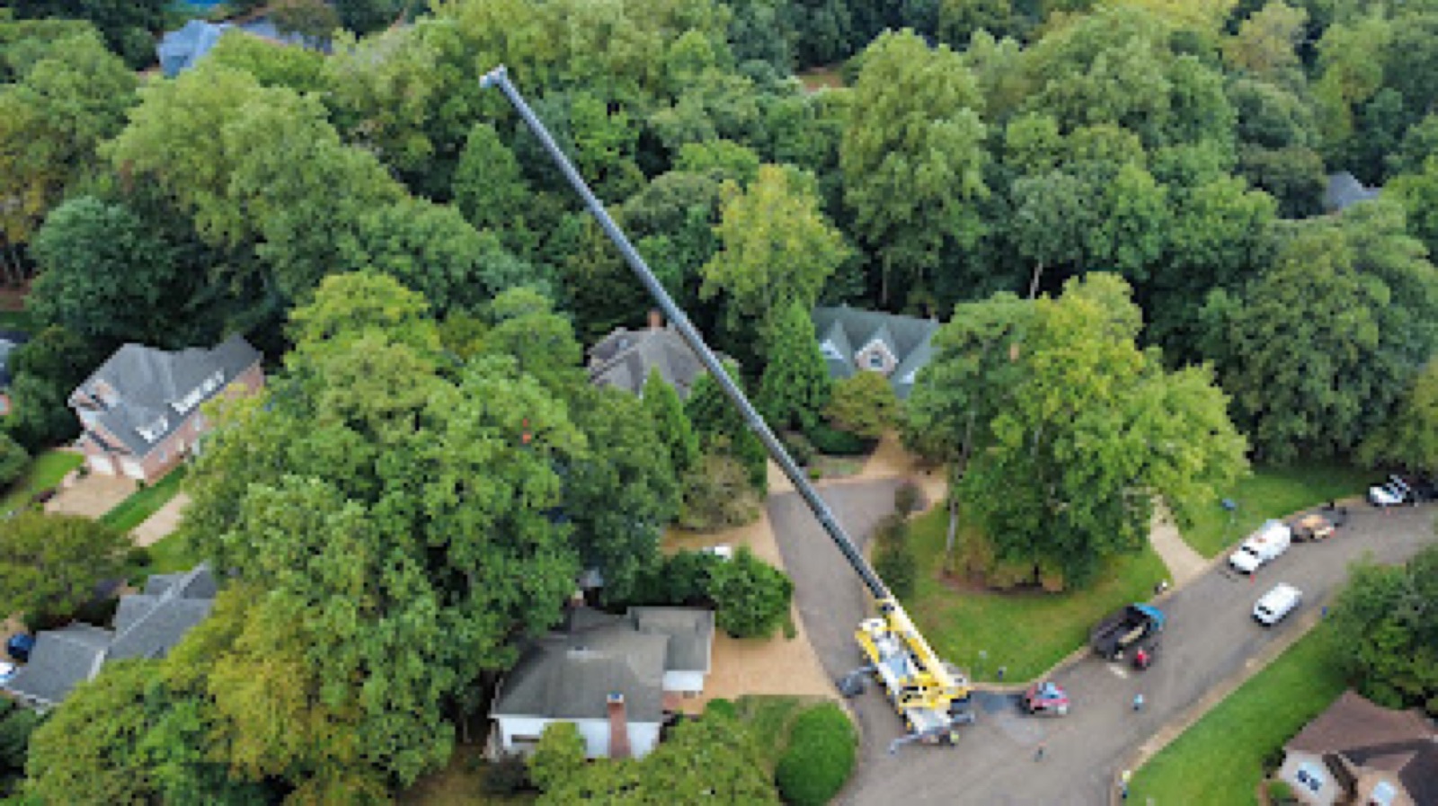 Aerial crane service for tree removal in Williamsburg VA