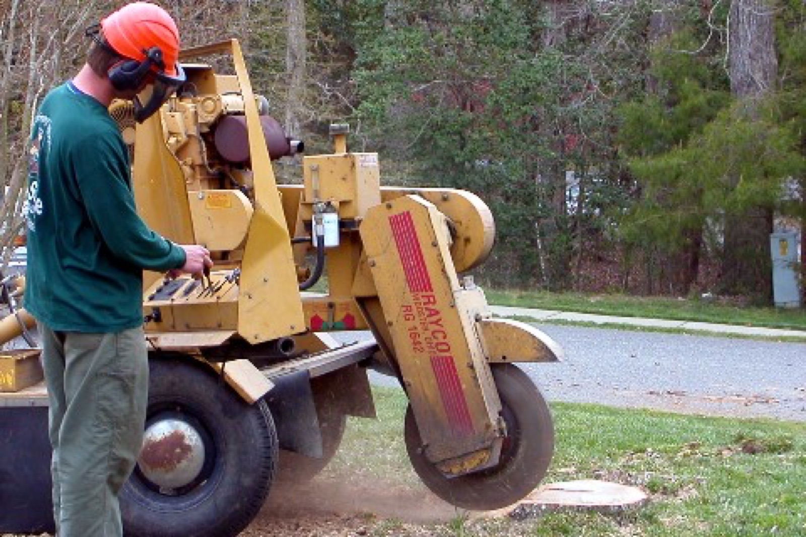 Stump grinding service in Williamsburg VA